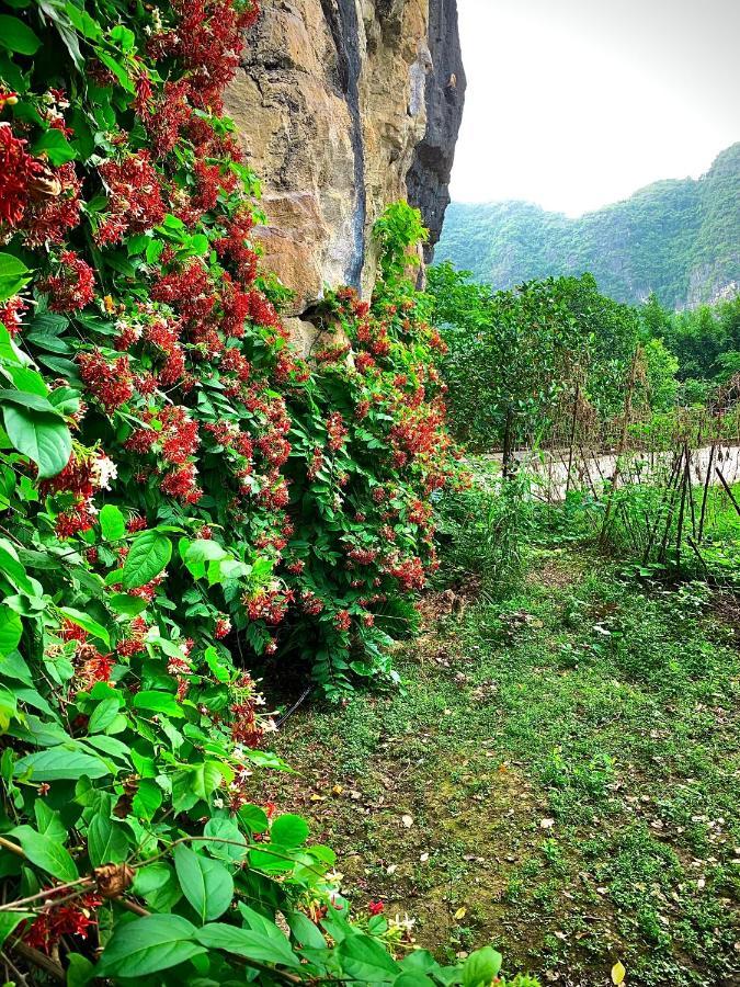 Trang An Valley Bungalow Ninh Binh Exterior photo